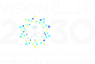 KSA Vision 2030